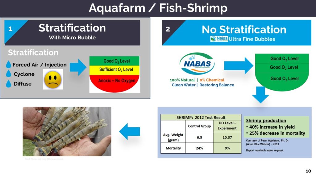 Slide10