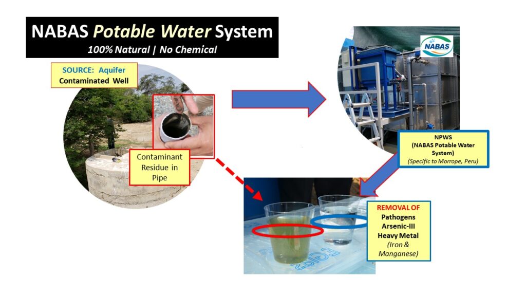Slide11
