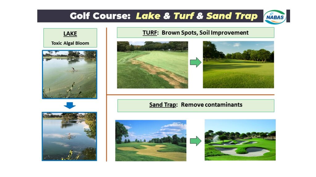 Slide12