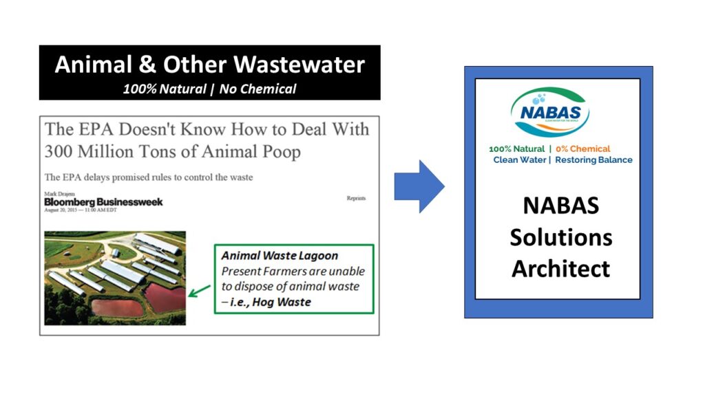 Slide15